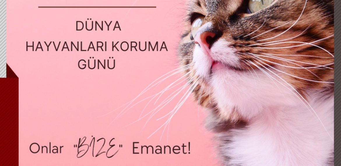 Dünya Hayvanları Koruma Günü Kutlu Olsun. 🐱🐶🐾